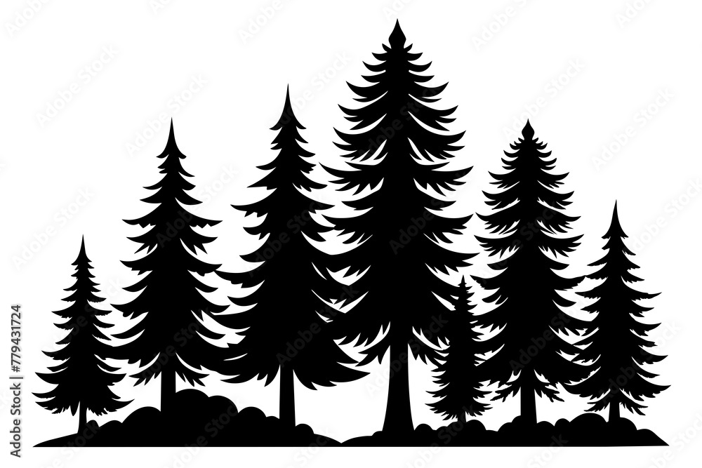 Isolated Spruce Tree Silhouettes white background 