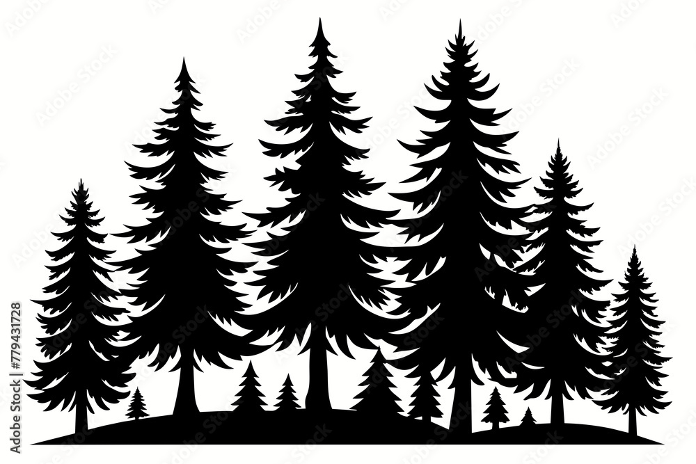 Isolated Spruce Tree Silhouettes white background 