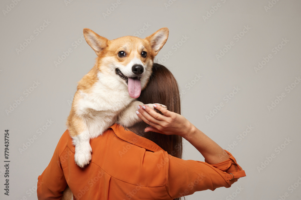 girl holding a corgi dog in her arms on a clean light background, love for dogs girl holding a corgi dog in her arms on a clean light background, love for dogs