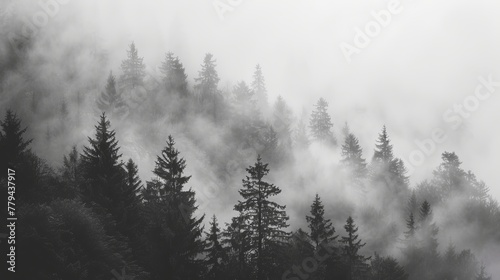 Trees shrouded in mist in a mountain landscape  AI generated illustration photo