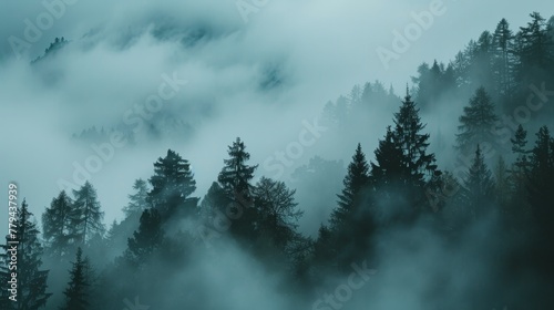 Trees shrouded in mist in a mountain landscape AI generated illustration