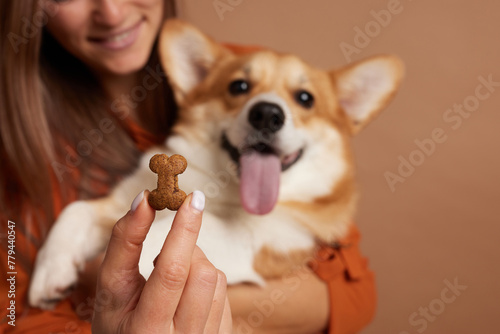 dog food in the shape of a bone close-up in the hand of a girl with a corgi dog, happy dogs concept