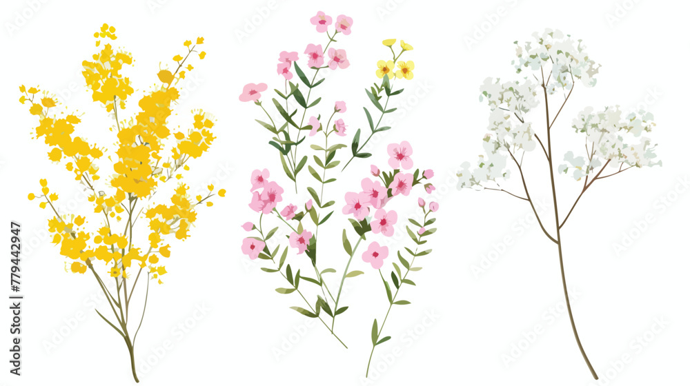 Set of small sprigs of yellow flowers of berberis thun
