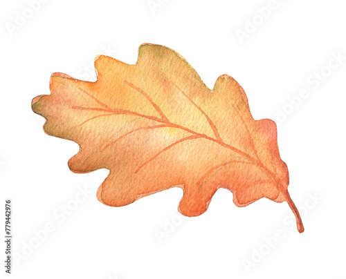 Watercolor autumn oak leaf isolated. Hand drawn fall illustration