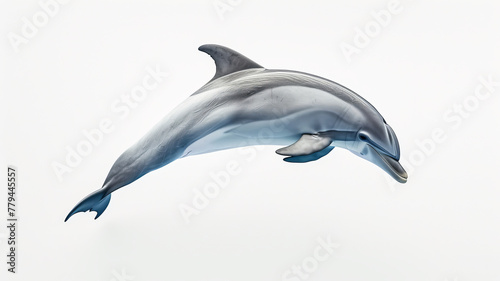 Graceful dolphin leaps  freedom embodied against a stark white backdrop  AI Generative.