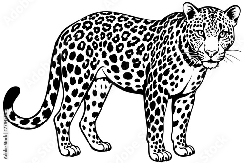 leopard silhouette vector illustration © CreativeDesigns