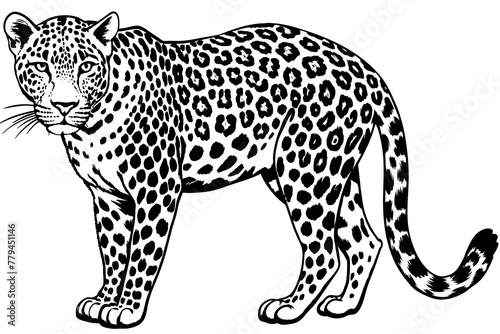 leopard silhouette vector illustration