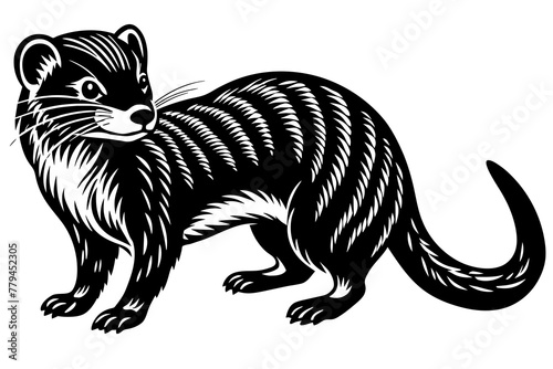 mongoose silhouette vector illustration photo
