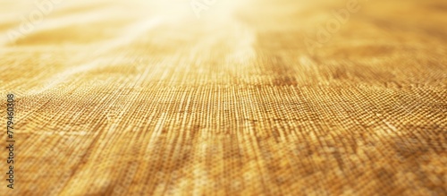 An closeup of a hardwood surface with sunlight streaming through, showcasing a beautiful natural landscape with grass and intricate wood patterns