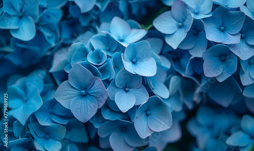 blue hydrangea flowers  Generative AI