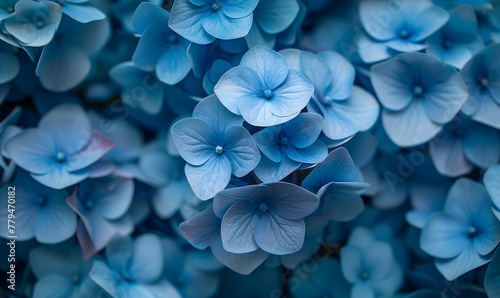 blue hydrangea flowers  Generative AI
