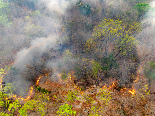 Bushfires in tropical forest release carbon dioxide (CO2) emissions and other greenhouse gases (GHG) that contribute to climate change. © toa555