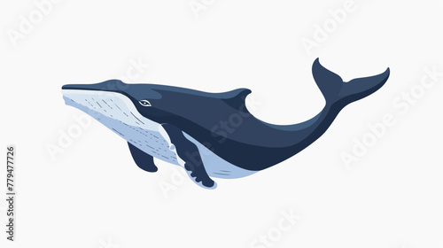 Baleen whale icon isolated on clean background