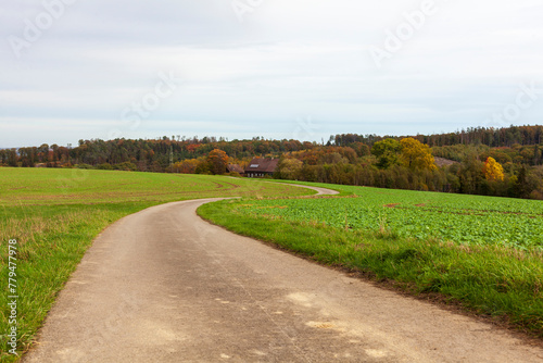 Autumn rural landscape with road and green meadow, Germany