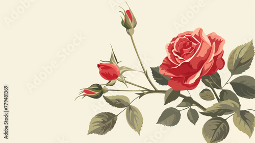 Retro background with beautiful red rose with buds