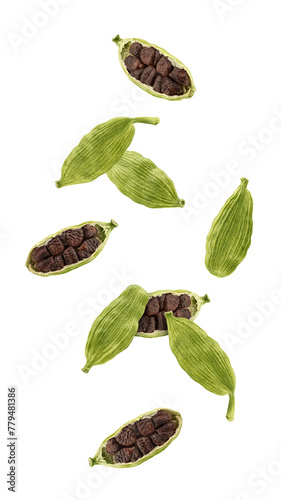 Falling Cardamom isolated on white background, full depth of field