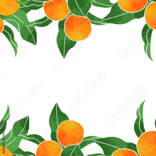 柑橘の背景素材
