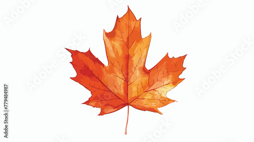 Maple Leaf Illustration Flat vector isolated on white