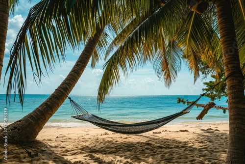 Beach scene hammock,  Calm beach scene with hammock between two palm trees, AI generated © Tanu