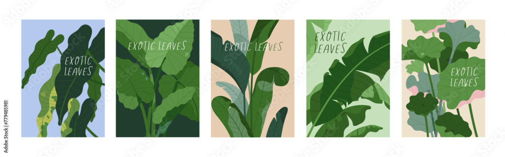 Fototapeta premium Tropical leaf plant, posters set. Exotic botanical cards with big green leaves, greenery. Natural floral backgrounds. Flora, vegetations, modern eco wall art collection. Flat vector illustration