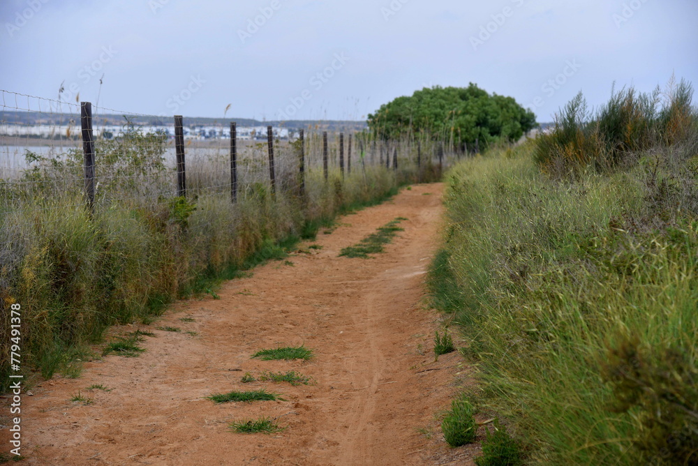 Sandy road with grass patches, going along a fence with the sea seen behind it in the background. 