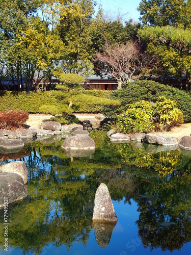 冬の青空を映す日本庭園の池風景