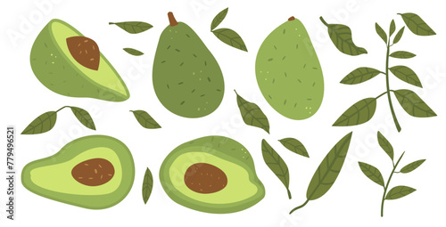 Avocado with leaves set isolated on white background. Whole and halved avocado and greens. Vector hand drawn illustration