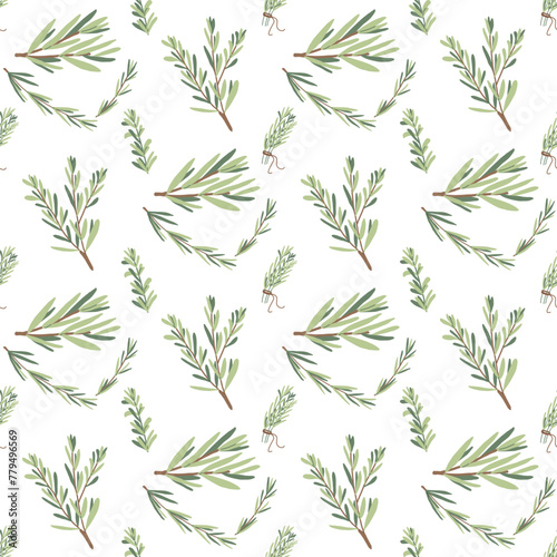 Rosemary seamless pattern. Rosemary plant green leaves repeat background. Botanic endless cover. Vector hand drawn illustration.