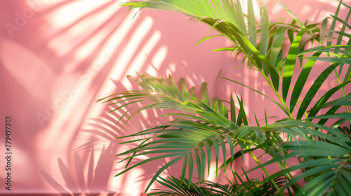 A vibrant pink wall with lush green palm leaves in the foreground 
