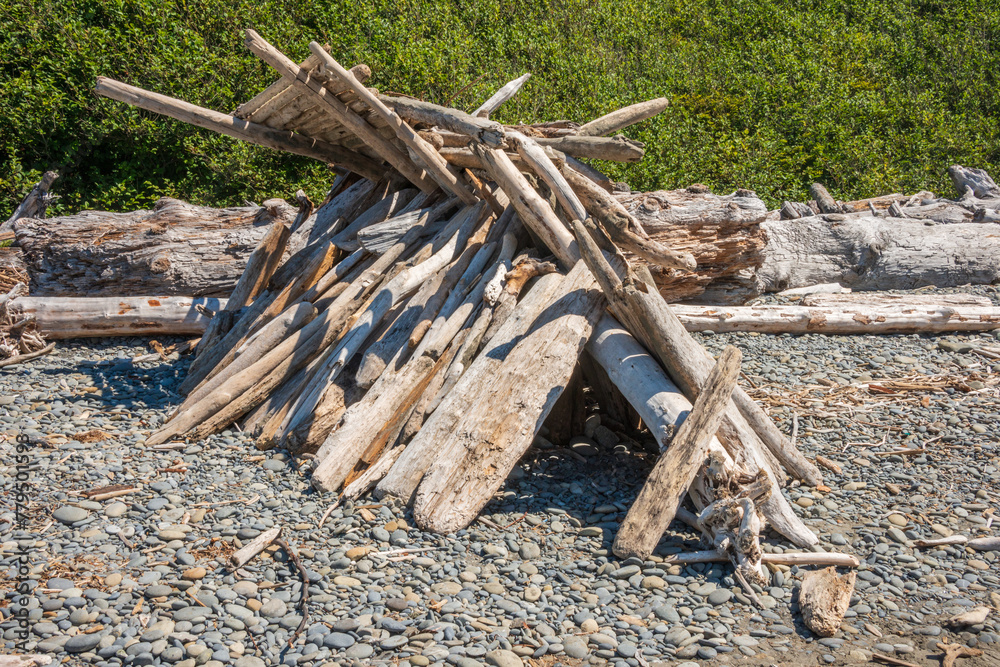 Driftwood at Ruby Beach in Olympic National Park in Washington State