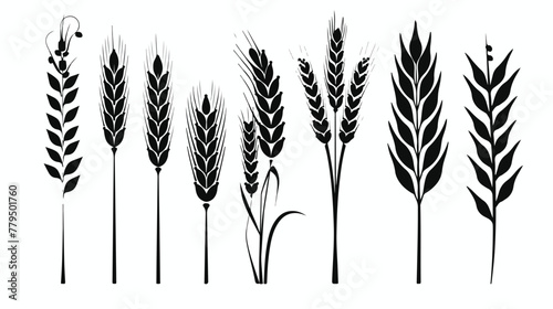 Wheat icon isolated sign symbol vector illustration -