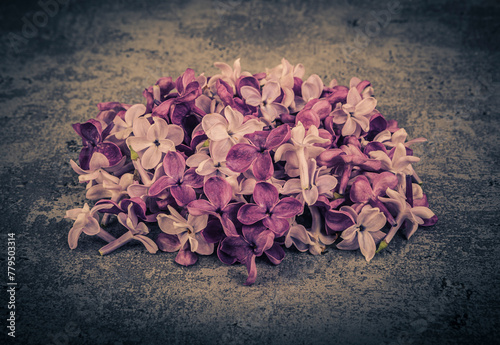 purple lilac flowers close-up, selective focus, vintage effect