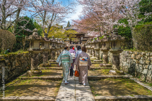 Onjoji temple, or Miidera, with cherry blossom at Mount Hiei in Otsu city in Shiga, Japan photo