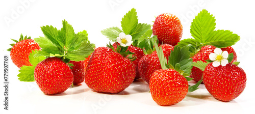 Strawberry Fruit Panorama - Strawberries with Leaves and Blossoms isolated on white Background