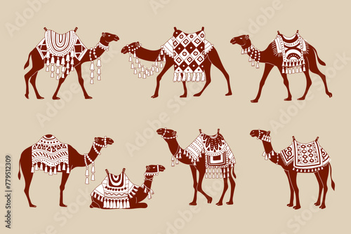 Camels. Stylized illustrations of domestic animals from hot countries deserts of sahara recent vector camels decorative collection