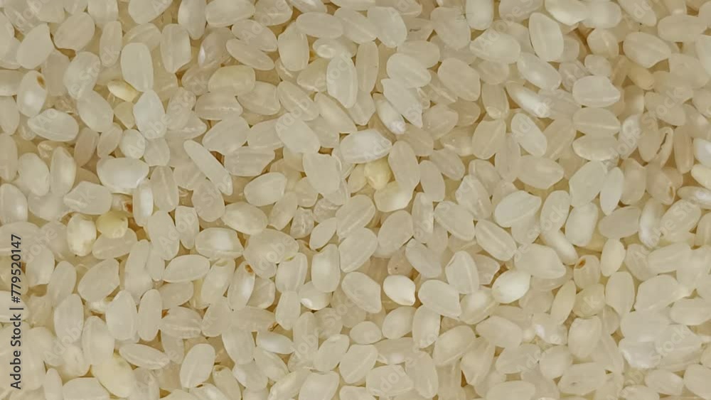 fond de riz rond cru, en gros plan fond de riz rond cru, en gros plan
