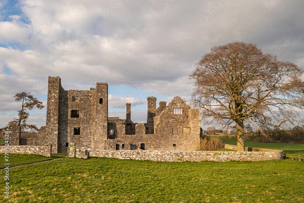 Wide angle front view of Bective Abbey, evening light. Meath. Ireland.