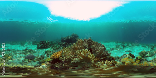 Tropical underwater sea fish. Colourful tropical coral reef. Scene reef. Philippines. Virtual Reality 360. © Alex Traveler