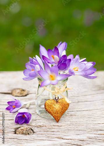 Beautiful bouquet of purple crocus flowers in a small glass vase with rusted heart pendant. Garden decor or floristic idea concept. Copy space