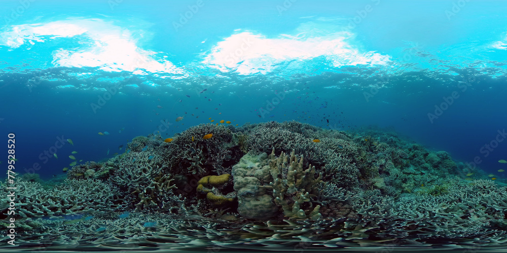 Colourful tropical coral reef. Scene reef. Seascape under water. Philippines. Virtual Reality 360.