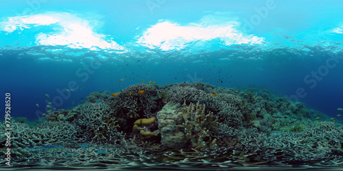 Fototapeta Naklejka Na Ścianę i Meble -  Colourful tropical coral reef. Scene reef. Seascape under water. Philippines. Virtual Reality 360.