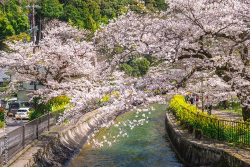 Yamashina Canal, a part of the Lake Biwa Canal in Yamashina District, Kyoto, Japan photo