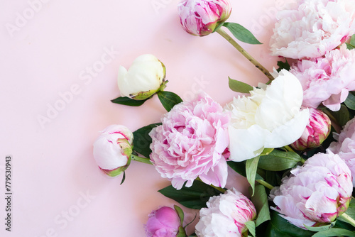 Beautiful fresh pink and white peony flowers bouquet on pink table  top view and flat lay background
