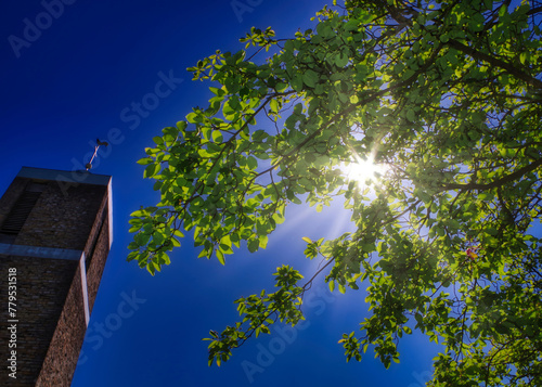 Das Bild zeigt eine malerische Szene, in der die Spitze einer Kirche majestätisch in den Himmel ragt, während sich auf der rechten Seite ein Baum befindet.  photo