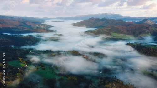 Aerial shot of a fog layer covering the vegetation and the hills of a beautiful landscape