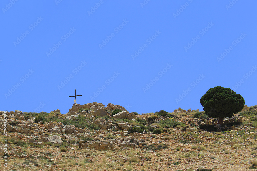A Juniperus Excelsa Tree with a Crucifix, Lebanon