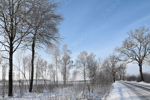 Winter view of Warmia, Poland.