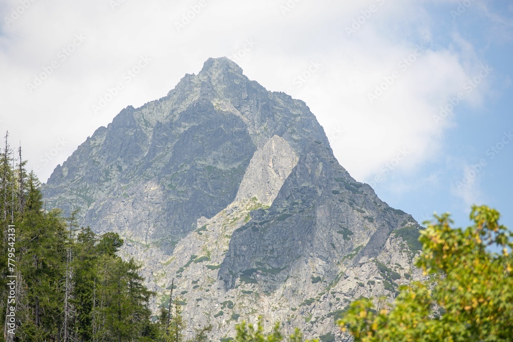 Fototapeta premium Beautiful view of a tall peak standing proud, overlooking vibrant green trees in High Tatras