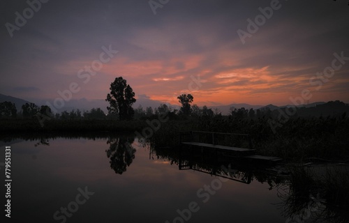 Calm water pond with the silhouettes of trees and the pink sunset reflected in the waters