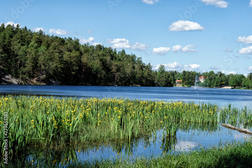 A beautiful lake just outside Stockholm, Sweden